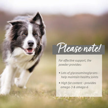 Load image into Gallery viewer, Green Lipped Mussel Powder for Dogs and Cats - Joint Support Supplement