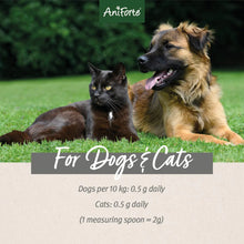 Load image into Gallery viewer, Green Lipped Mussel Powder for Dogs and Cats - Joint Support Supplement