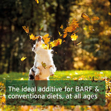 Load image into Gallery viewer, Ground Beef Bones - Natural Calcium Supplement for Dogs & Cats 500g