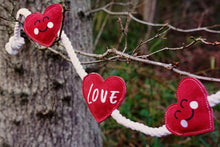 Load image into Gallery viewer, Heart shaped Eco Dog Toy (Heart strings)