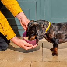 Load image into Gallery viewer, Raw Turkey Nuggets for Puppies 1kg