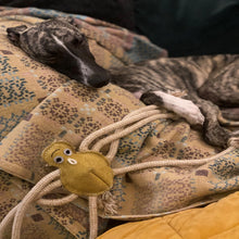 Load image into Gallery viewer, Lily Longlegs, Eco Toy