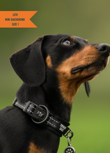 Load image into Gallery viewer, TWIGGY TAGS ADVENTURE COLLARS - DISCONTINUED LINES - REDUCED TO CLEAR