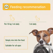 Load image into Gallery viewer, Prebiotic Jerusalem Artichoke Concentrate for Cats and Dogs - 30 ml - Natural intestinal regulator