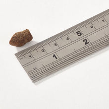 Load image into Gallery viewer, PUPPY WHITE FISH MINI MORSELS 150g