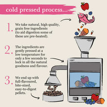 Load image into Gallery viewer, Forthglade Cold Pressed Salmon Dry Dog Food Grain Free