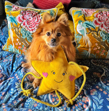 Load image into Gallery viewer, Star XL Dog and Horse Eco Toy