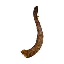 Load image into Gallery viewer, Turkey Neck Air Dried 1 piece