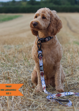 Load image into Gallery viewer, TWIGGY TAGS ADVENTURE COLLARS - DISCONTINUED LINES - REDUCED TO CLEAR