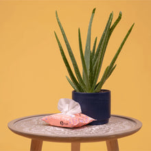 Load image into Gallery viewer, Compostable Pet Wipes by Adios