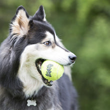 Load image into Gallery viewer, KONG Air Squeaker Tennis Ball (3Pk) Medium
