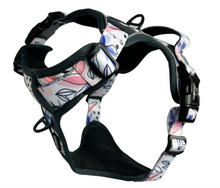 Load image into Gallery viewer, TWIGGY TAGS ADVENTURE HARNESS - DISCONTINUED LINES - REDUCED TO CLEAR