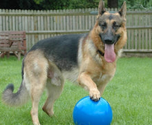 Load image into Gallery viewer, Company Of Animals - Boomer Ball
