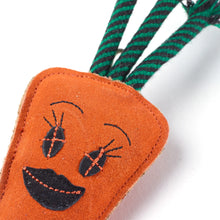 Load image into Gallery viewer, Candice the Carrot, Eco toy