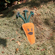 Load image into Gallery viewer, Candice the Carrot, Eco toy