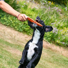 Load image into Gallery viewer, Candice the Carrot, Eco toy