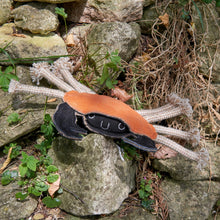 Load image into Gallery viewer, Carlos the Crab, Eco toy