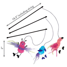 Load image into Gallery viewer, KONG Feather Teaser