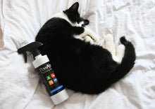 Load image into Gallery viewer, PowAir Urine and Odour