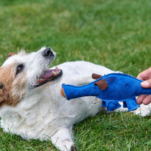 Load image into Gallery viewer, Dino the Dyno Fish, Eco Toy