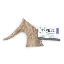 Load image into Gallery viewer, Highland Fallow Deer Antler
