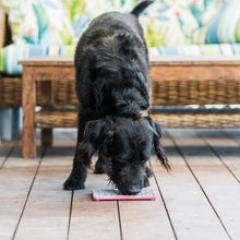 Load image into Gallery viewer, LickiMat® Tuff™ Playdate™