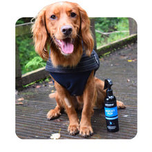 Load image into Gallery viewer, Mucky Pup No Rinse Puppy Shampoo 250ml