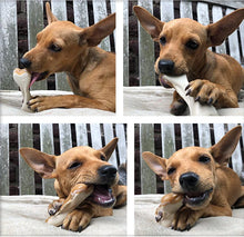 Load image into Gallery viewer, Maks Patch Peanut Butter Dual Bones Dog Treats. 2 sizes.