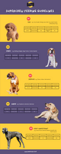 Load image into Gallery viewer, Proflax Calming Superchew Soft Treats