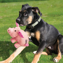 Load image into Gallery viewer, KONG Phatz Pig