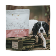 Load image into Gallery viewer, Semi-Moist Salmon and Quail