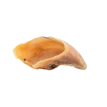 Load image into Gallery viewer, Cow Hooves (unfilled) 1 piece