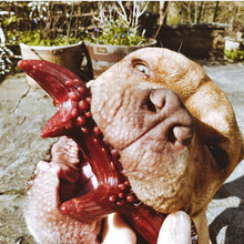 Load image into Gallery viewer, Maks Patch Natural Mixed Flavour Antlers - Large Dog Treat