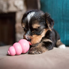 Load image into Gallery viewer, KONG® Puppy