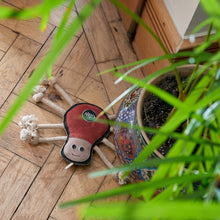 Load image into Gallery viewer, Spike the Spider, Eco toy