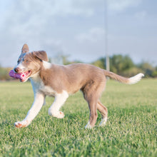 Load image into Gallery viewer, KONG Teething Stick™