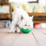 Load image into Gallery viewer, LickiMat® Wobble™