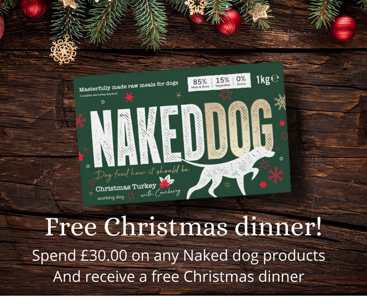 Free Christmas Dinner