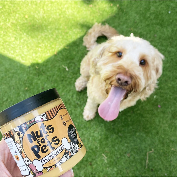 Pooch butter has landed! Healthy peanut butter that your dog's will go nuts for!