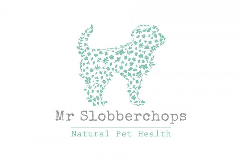 Mr Slobberchops now in stock!