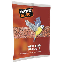Load image into Gallery viewer, Extra Select Wild Bird Peanuts

