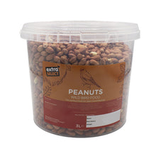 Load image into Gallery viewer, Extra Select Wild Bird Peanuts
