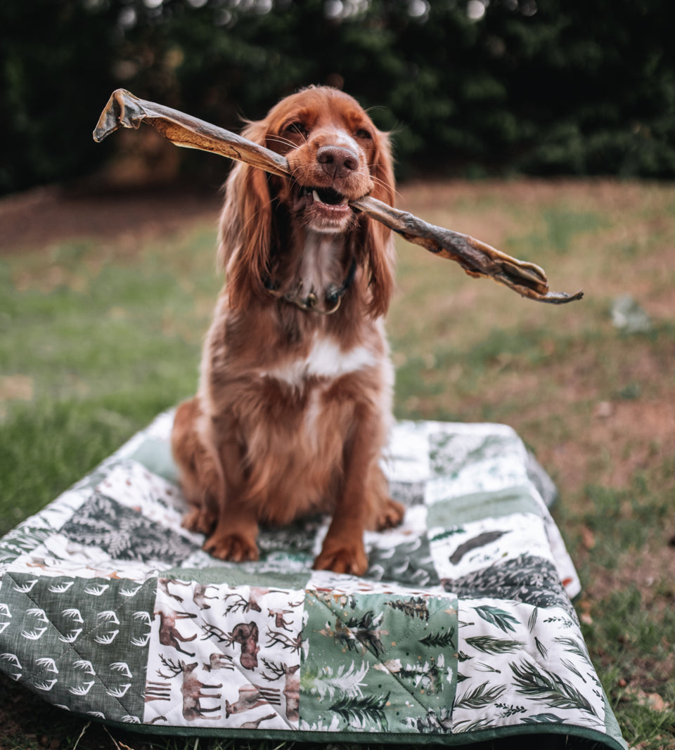 Anco Naturals Giant Deer Stick