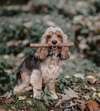 Load image into Gallery viewer, Anco Naturals Bully Sticks Large

