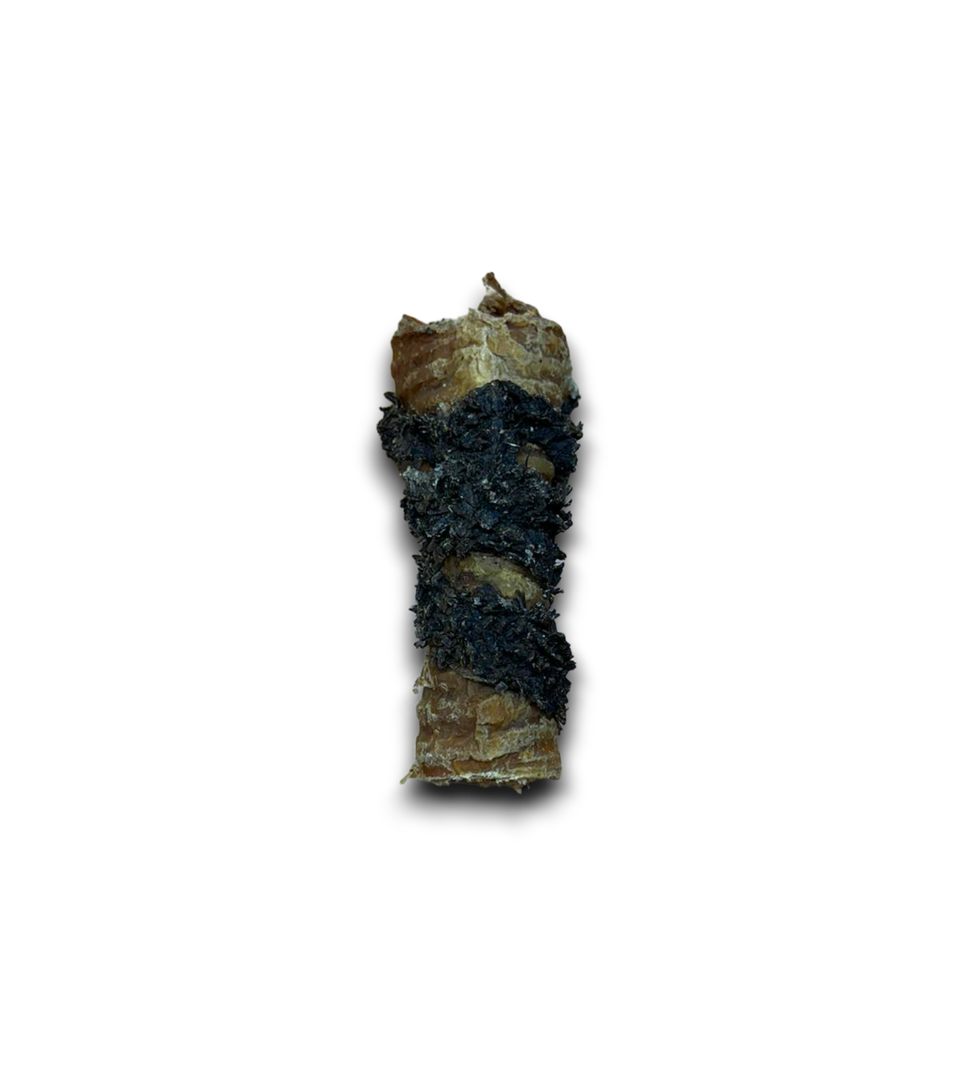 Anco Naturals Tripe Wrapped Bully Tube
