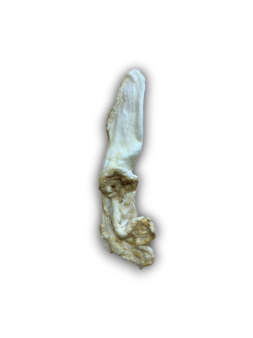 Anco Naturals Puffed Rabbit Ears