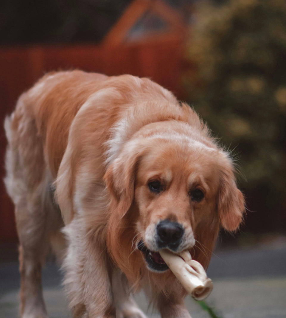 Anco Naturals Goat Rolls Medium