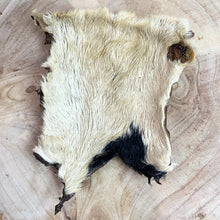 Load image into Gallery viewer, XL Hairy Beef Skin - Beef Bark
