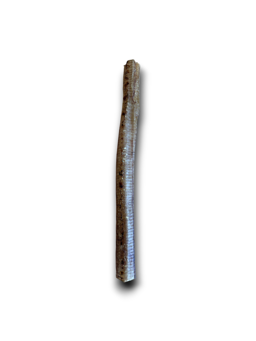 Anco Naturals Ostrich Tubes