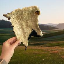 Load image into Gallery viewer, XL Hairy Beef Skin - Beef Bark
